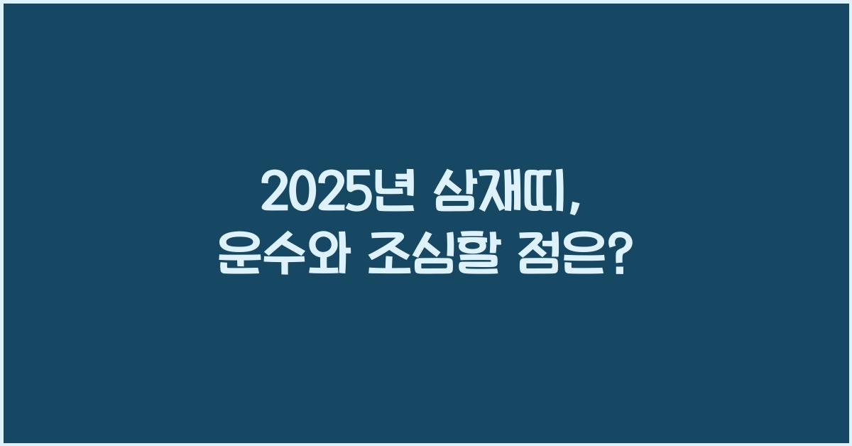 2025년 삼재띠