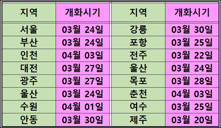 벚꽃축제_일정