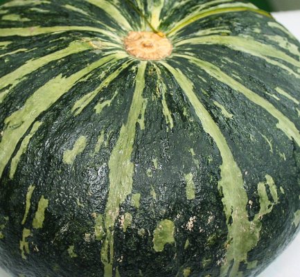 시력 보호에 도움이 되는 단호박