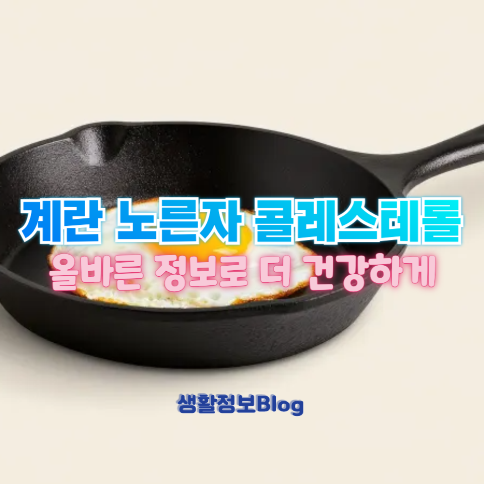 계란 노른자 콜레스테롤