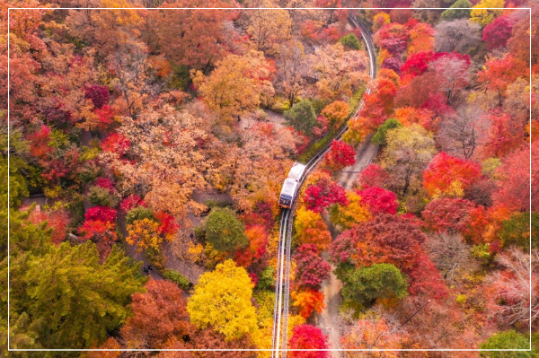 화담숲 이미지 / 출처: 대한민국 구석구석