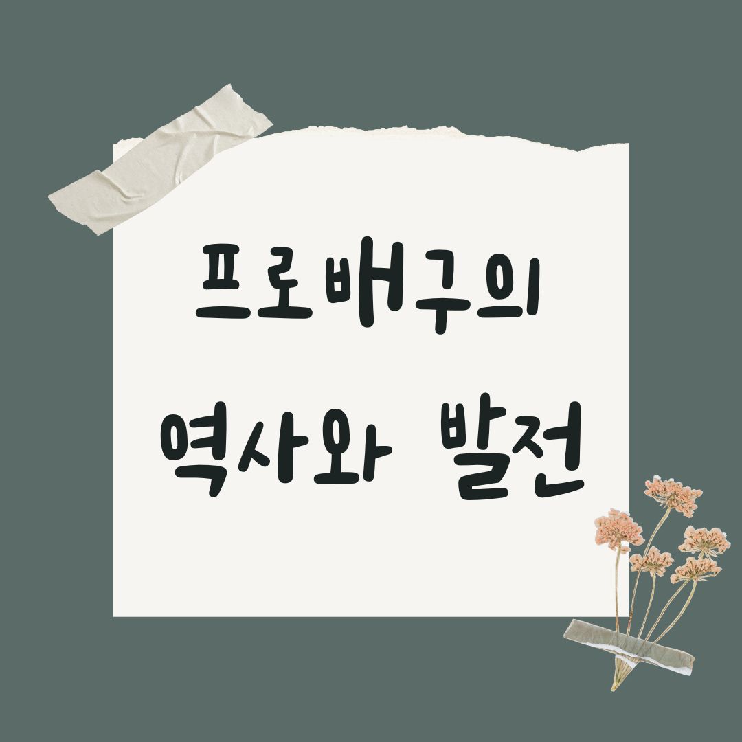프로배구의 역사와 발전