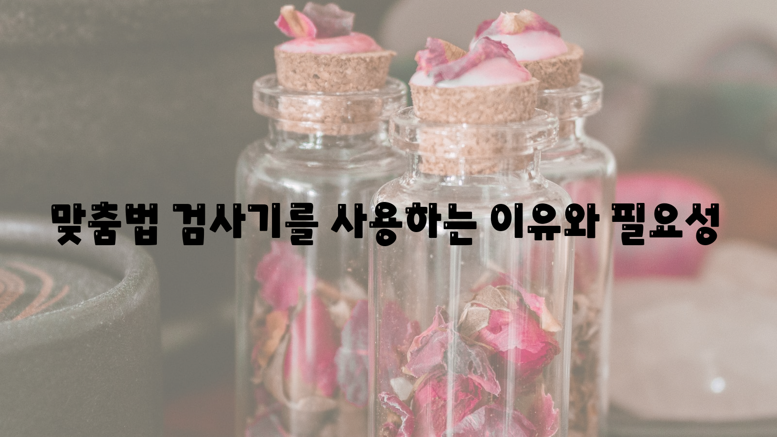 맞춤법 검사기, 사용하는 이유, 필요성