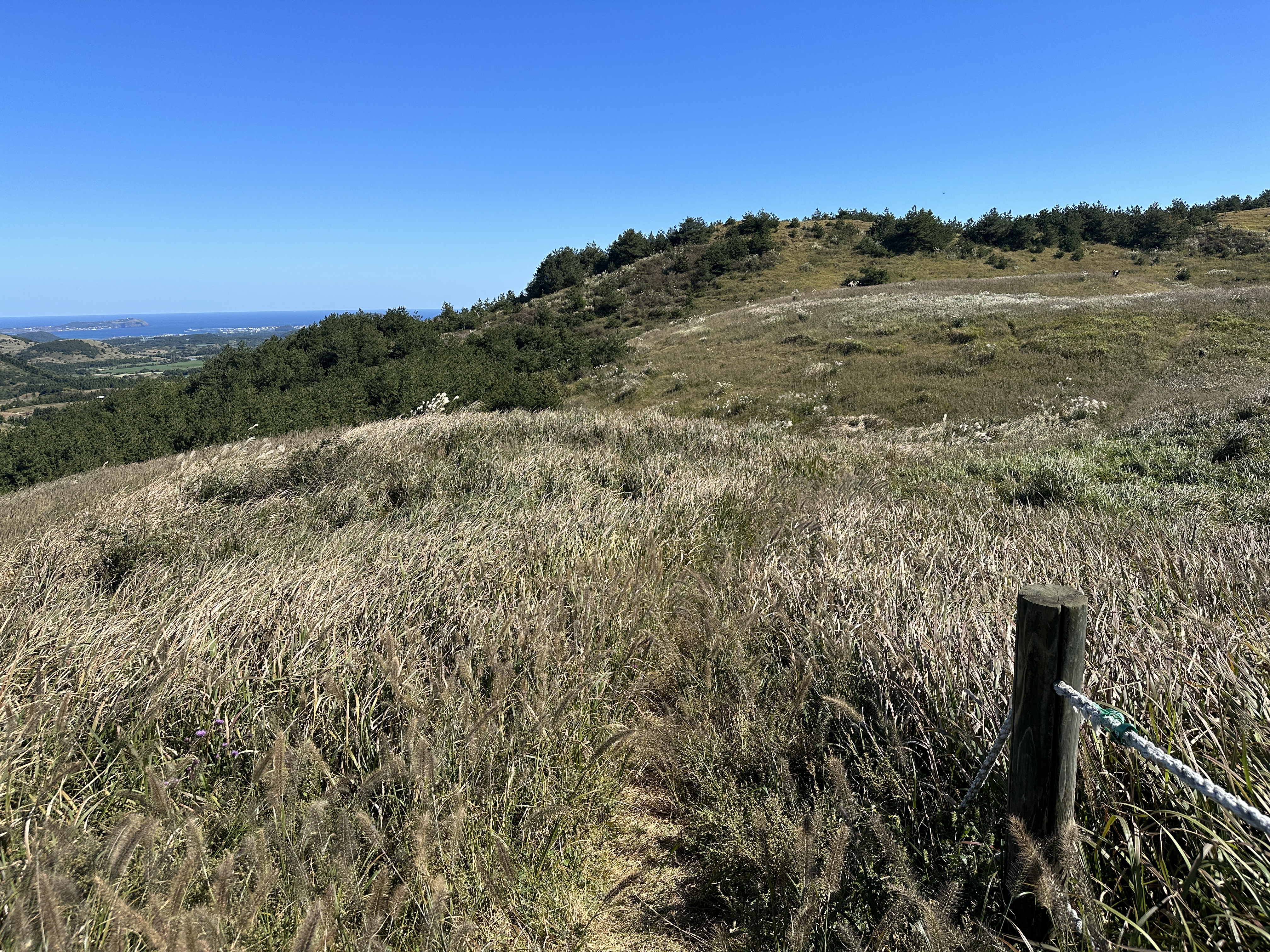 동검은이오름/ 동거문오름 탐방로