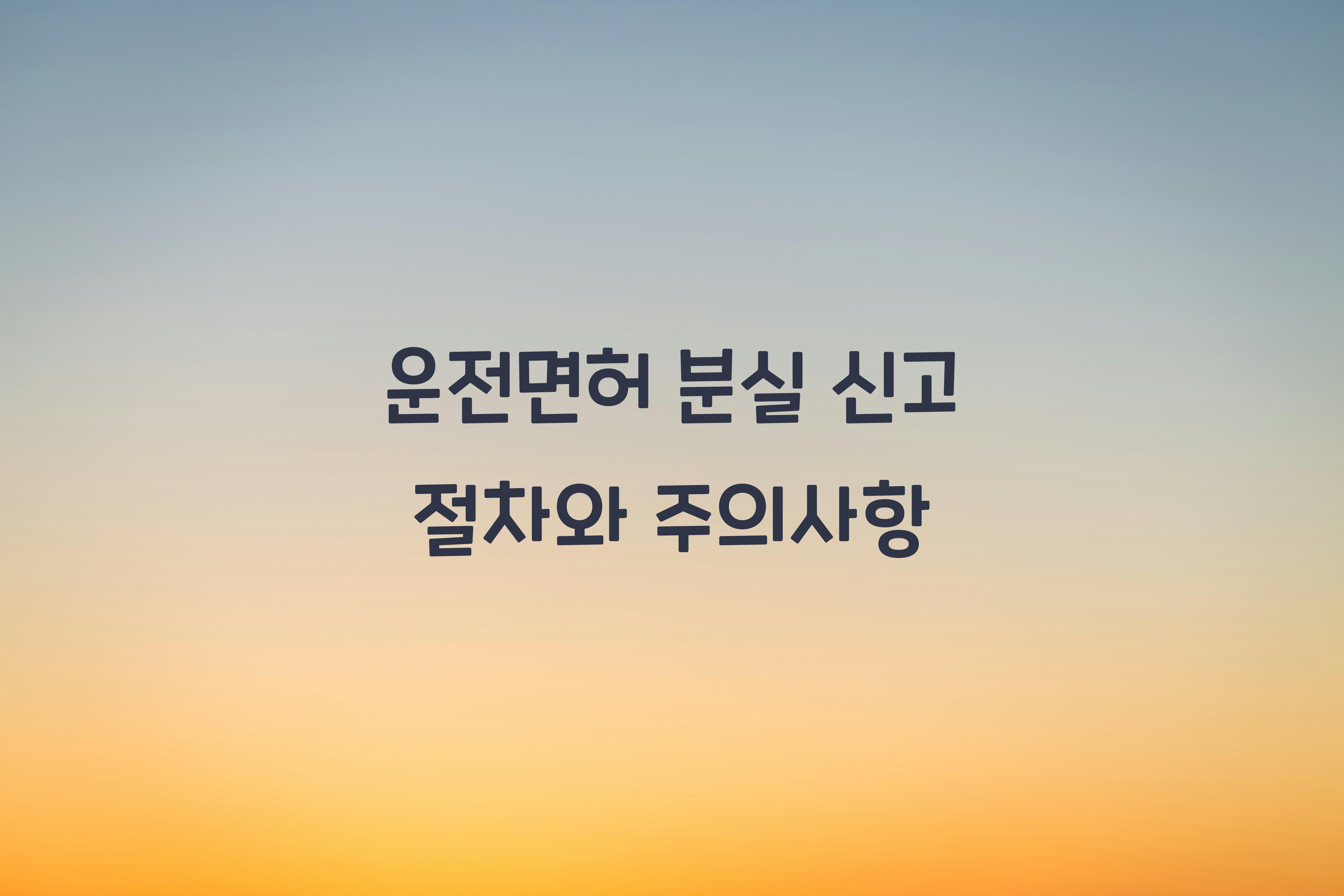 운전면허 분실 신고