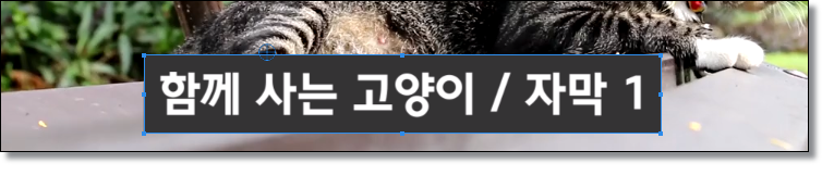 프리미어프로-로고-자막