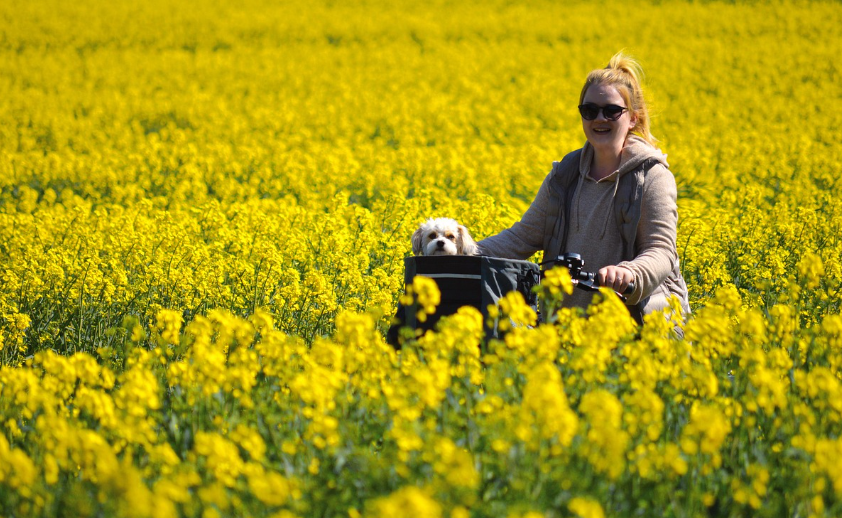 도심 속 피크닉, 여기서 감성 충전 완료!