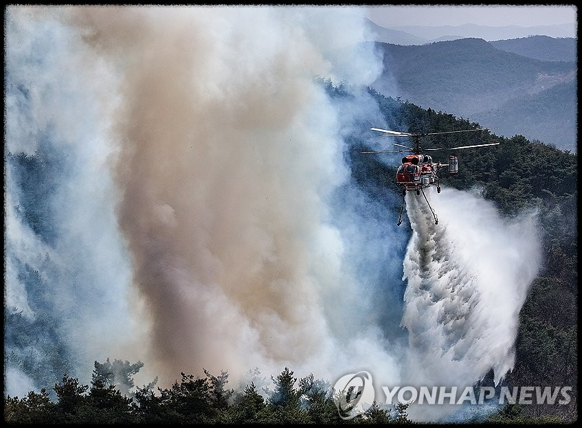 특별재난지역 관련 사진