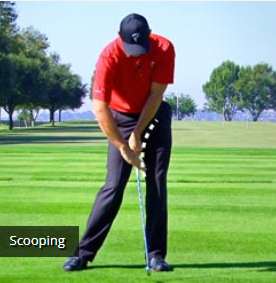 골프 스쿠핑 동작