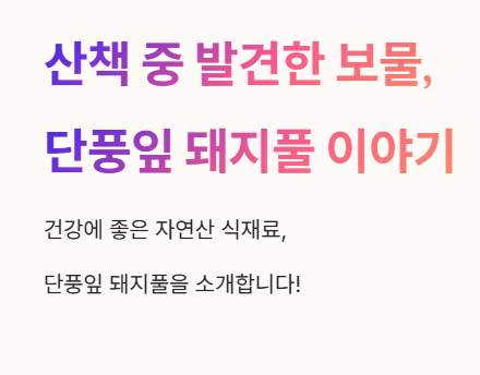 산책 중 발견한 보물, 단풍잎 돼지풀 이야기