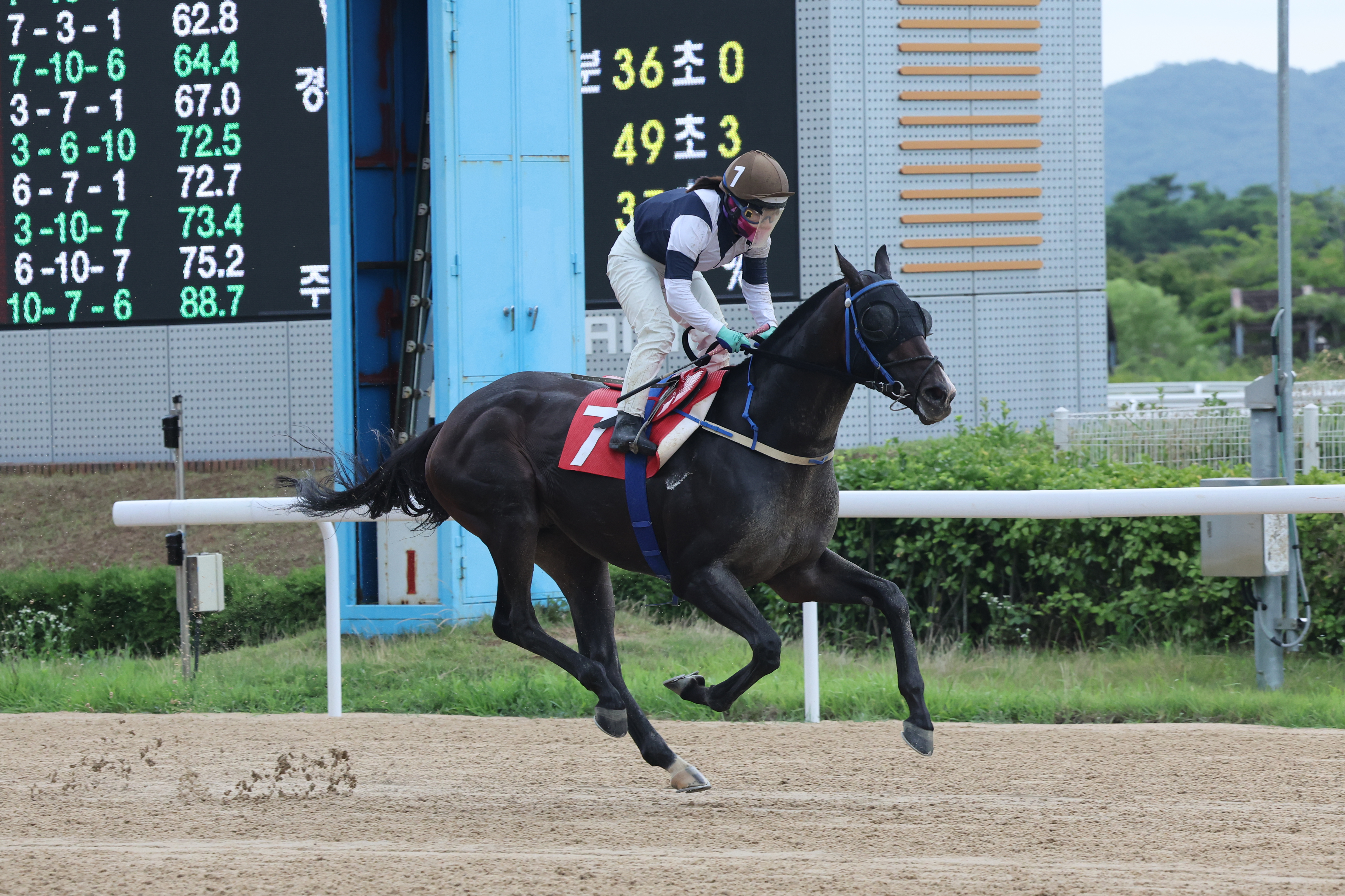 2024년 Owner's cup 우승 스피드영과 김혜선기수