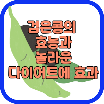 검은콩의 효능과 놀라운 다이어트에 효과