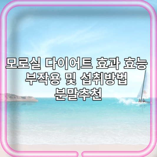 모로실 다이어트 효과 효능 부작용 섭취방법 분말추천