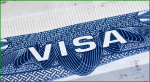 비자