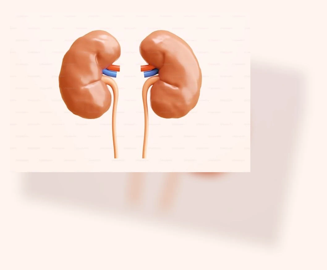 신장질환 식단_2_subsection