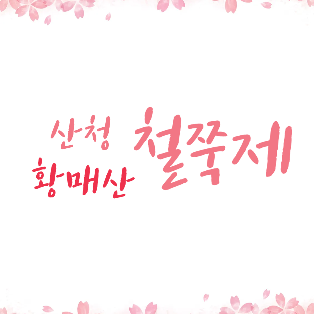 경남 산청 황매산 철쭉제 2025 일정 주차 등반코스 꿀팁정리