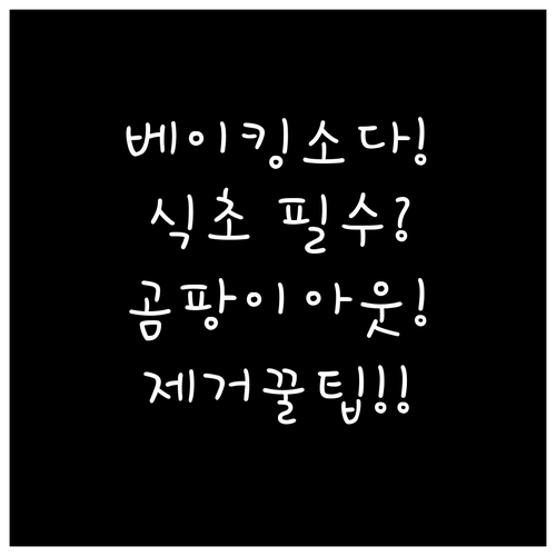 베이킹소다와 식초로 집안 곰팡이 제거..