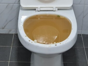 새하얀-변기에-똥이-튀고-넘치는-눈이-아픈-모습