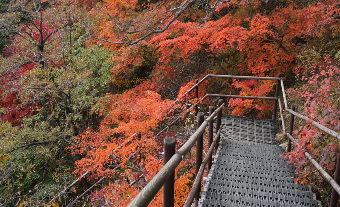 강원도 단풍 명소 6. 고성 설악산과 화진포