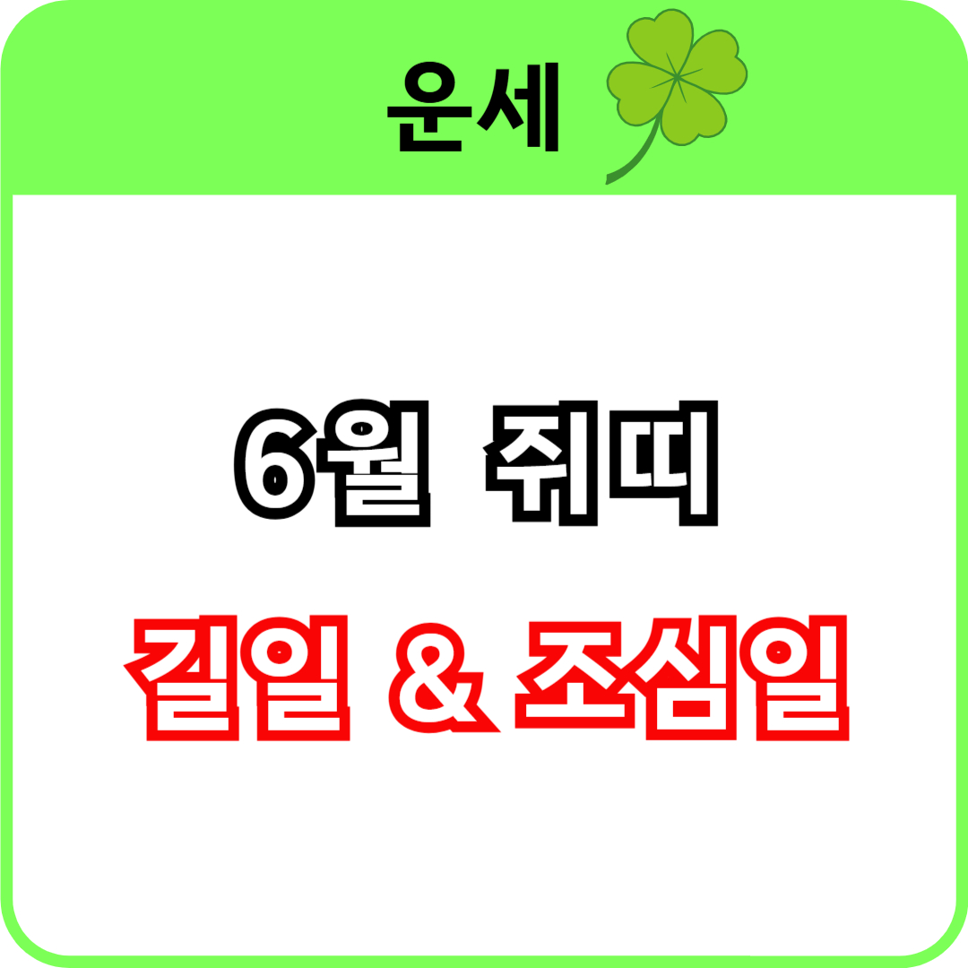 2025년 6월 쥐띠 운세 총정리