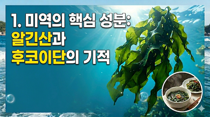 1. 미역의 핵심 성분: 알긴산과 후코이단의 기적