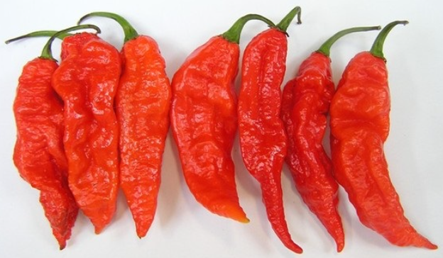 부트졸로키아_보관법