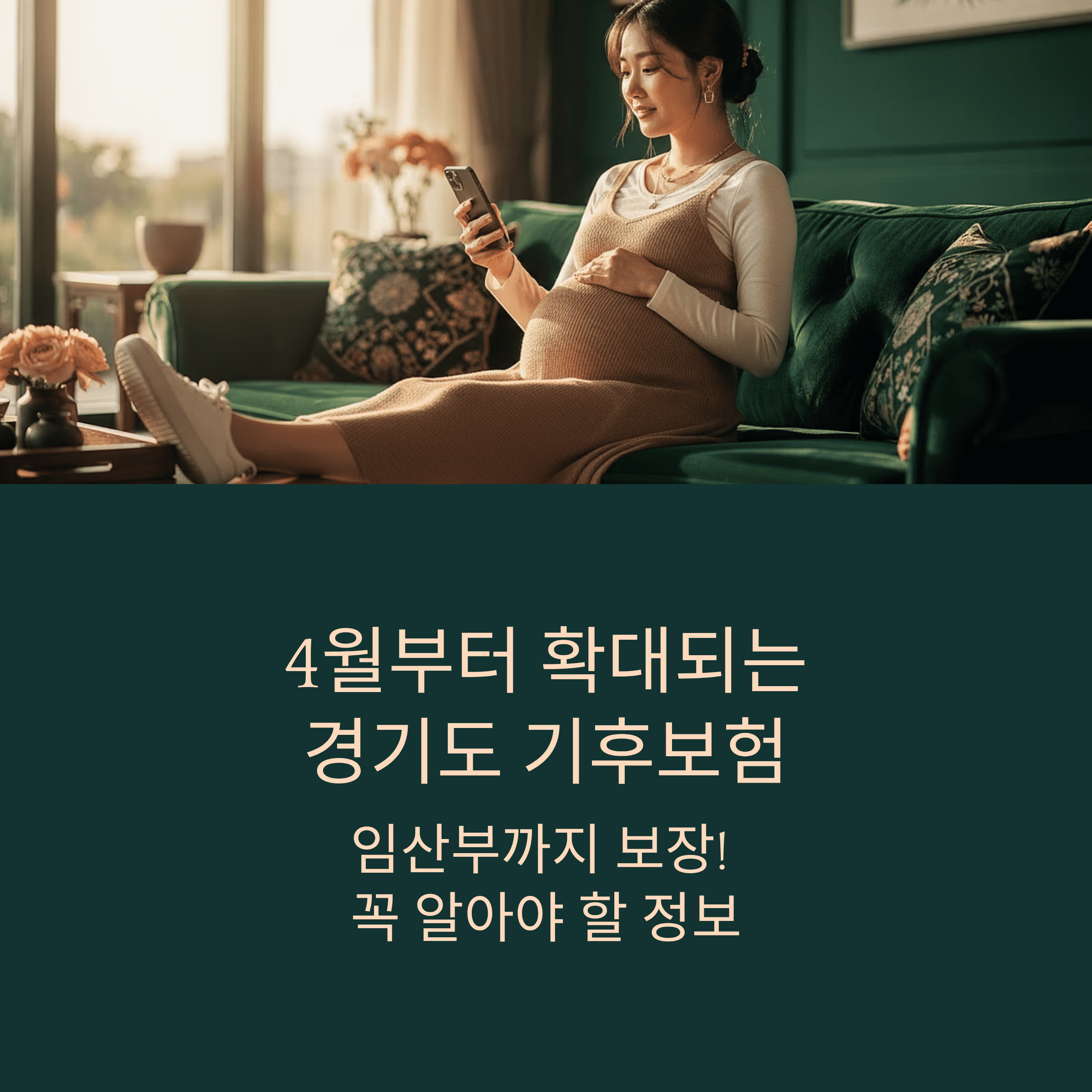 경기도 기후 보험 확대 임산부 취약 계층 지원