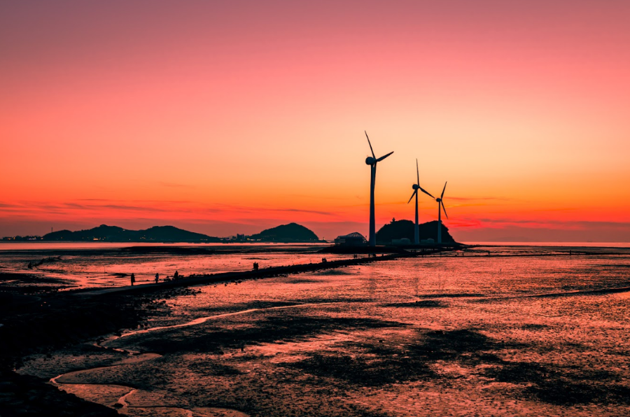 대부도 &amp; 제부도 일몰 산책 여행 가이드 2025