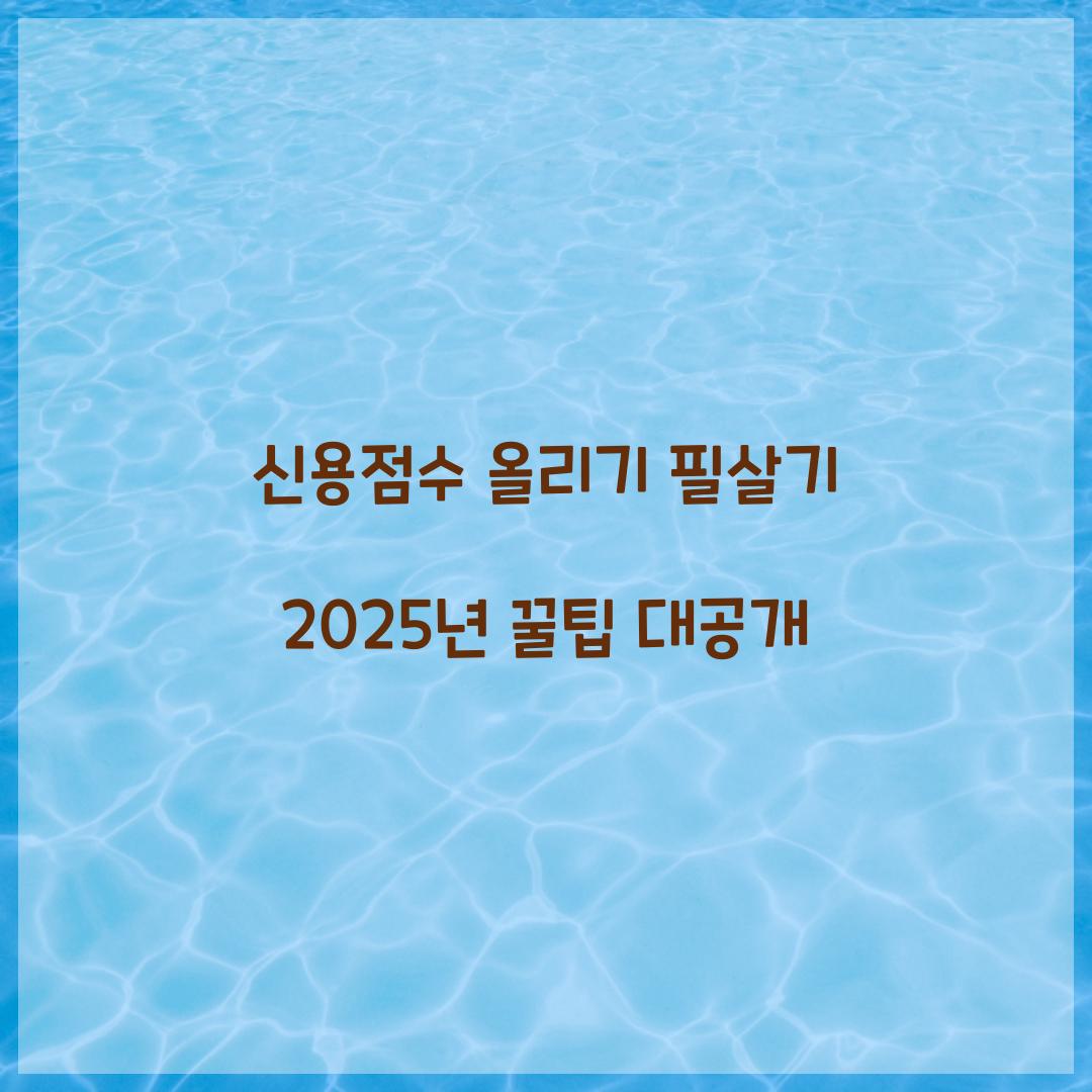 신용점수 올리기