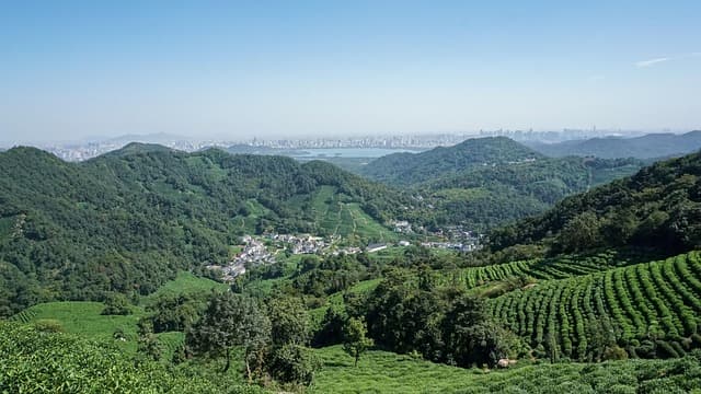 귀산촌 실패사례 5가지와 극복법 – 실전에서 얻은 교훈