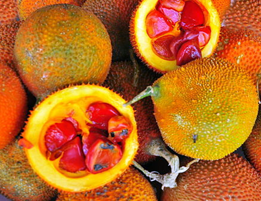 게욱,걱,걱효능,걱플루트,걱분말