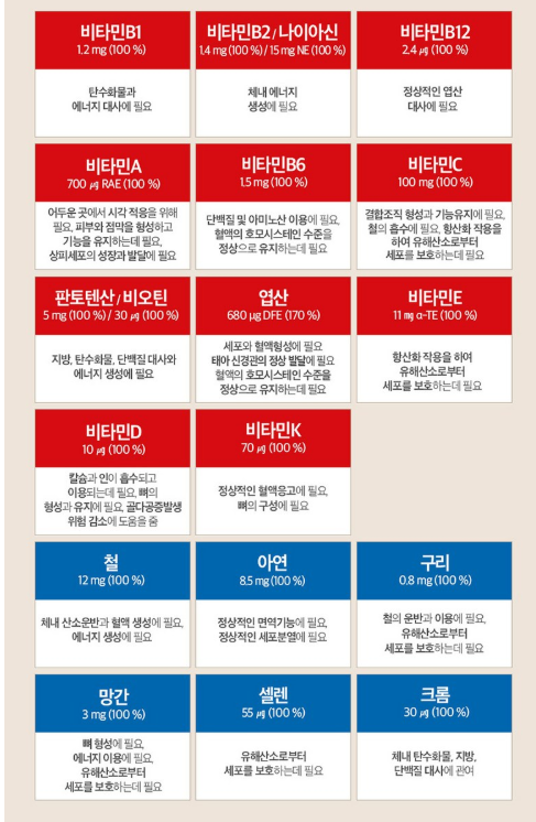 홀리데이즈 멀티비타민13&amp;미네랄 6 효능