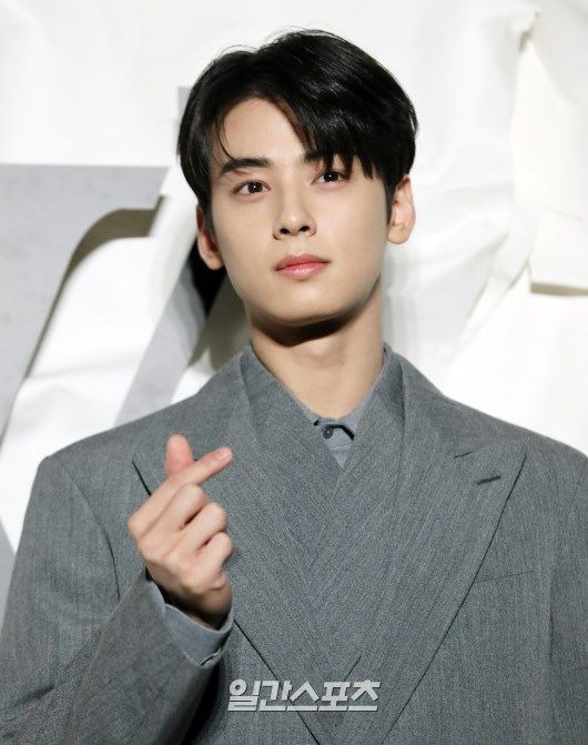 차은우 조세심판원 청구 승소 확률과 행정소송 3대 시나리오 정밀 예측, 낸 돈 130억 다시 돌려받을까?