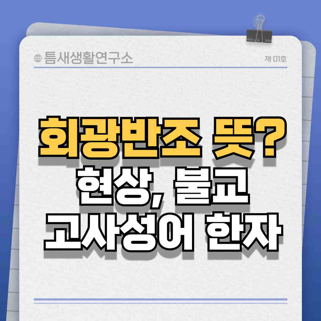 회광반조-썸네일