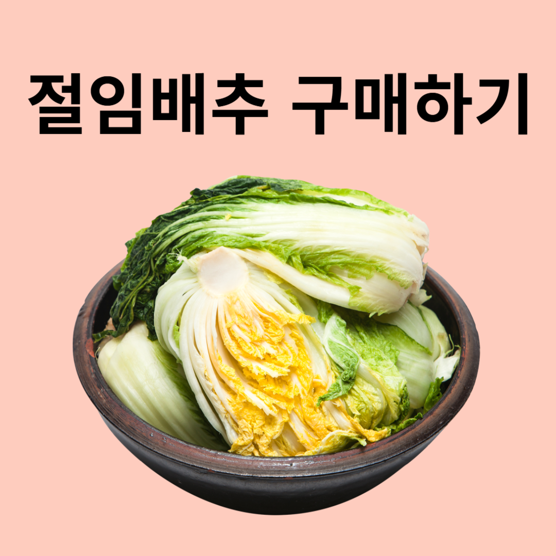 절임배추