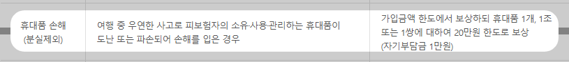 해외 여행자보험 휴대품 도난