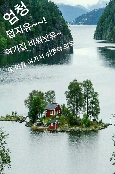 엄청 덥지유~~! 여기집 비워놧유~