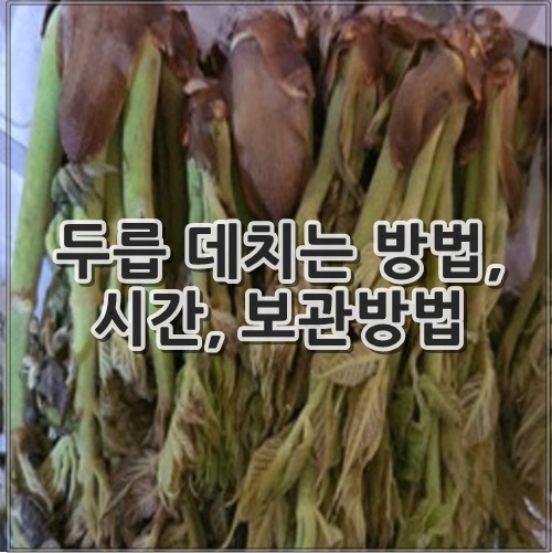 두릅 데치는 방법, 시간, 보관방법