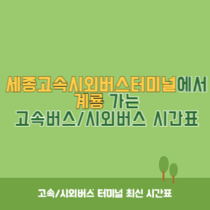 세종고속시외버스터미널에서 계룡 가는 고속버스_시외버스 시간표
