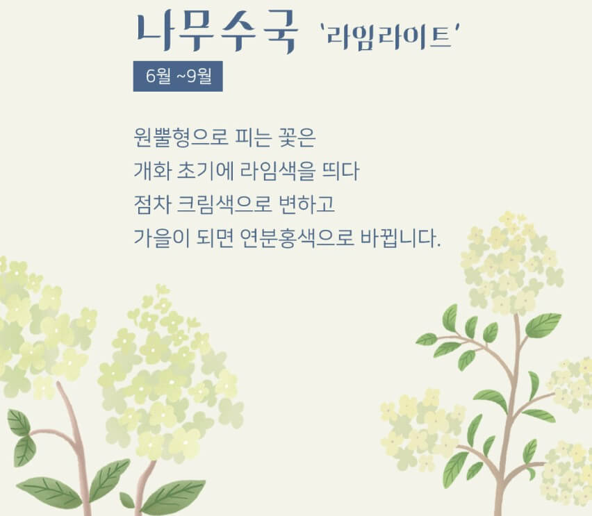 화담숲 예약 홈페이지(현장구매 팁)