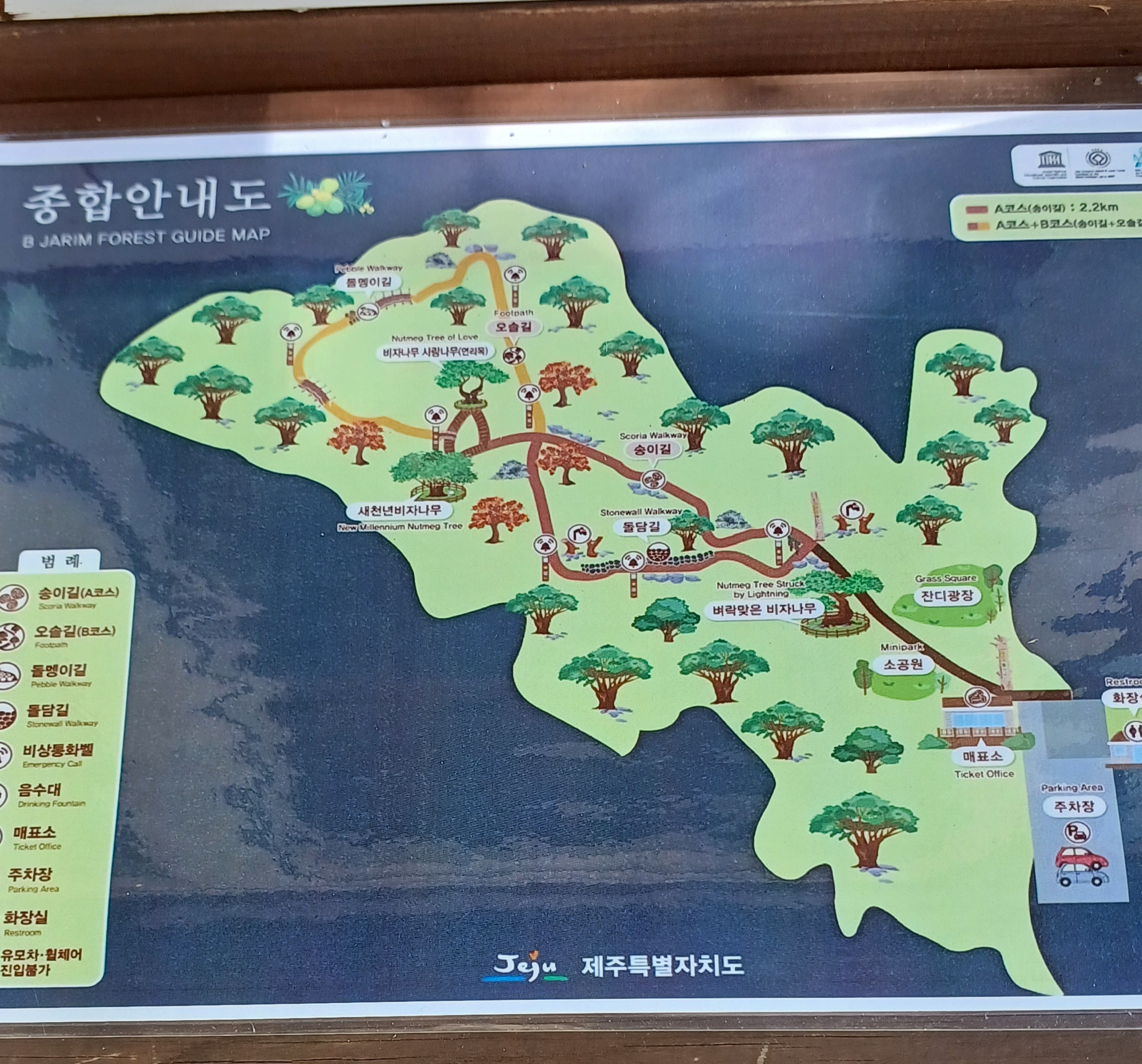 제주-비자림-산책코스