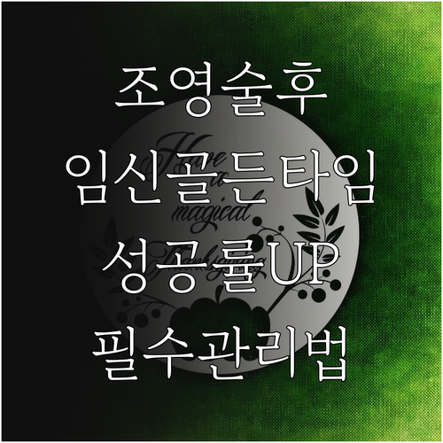 나팔관 조영술 후 임신 성공률 높이는..