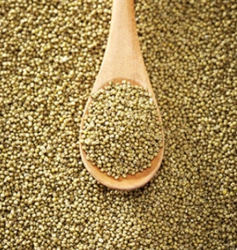 한국의 떡 종류 서속떡-조