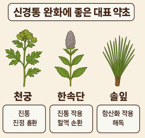 신경통 완화에 좋은 대표 약초