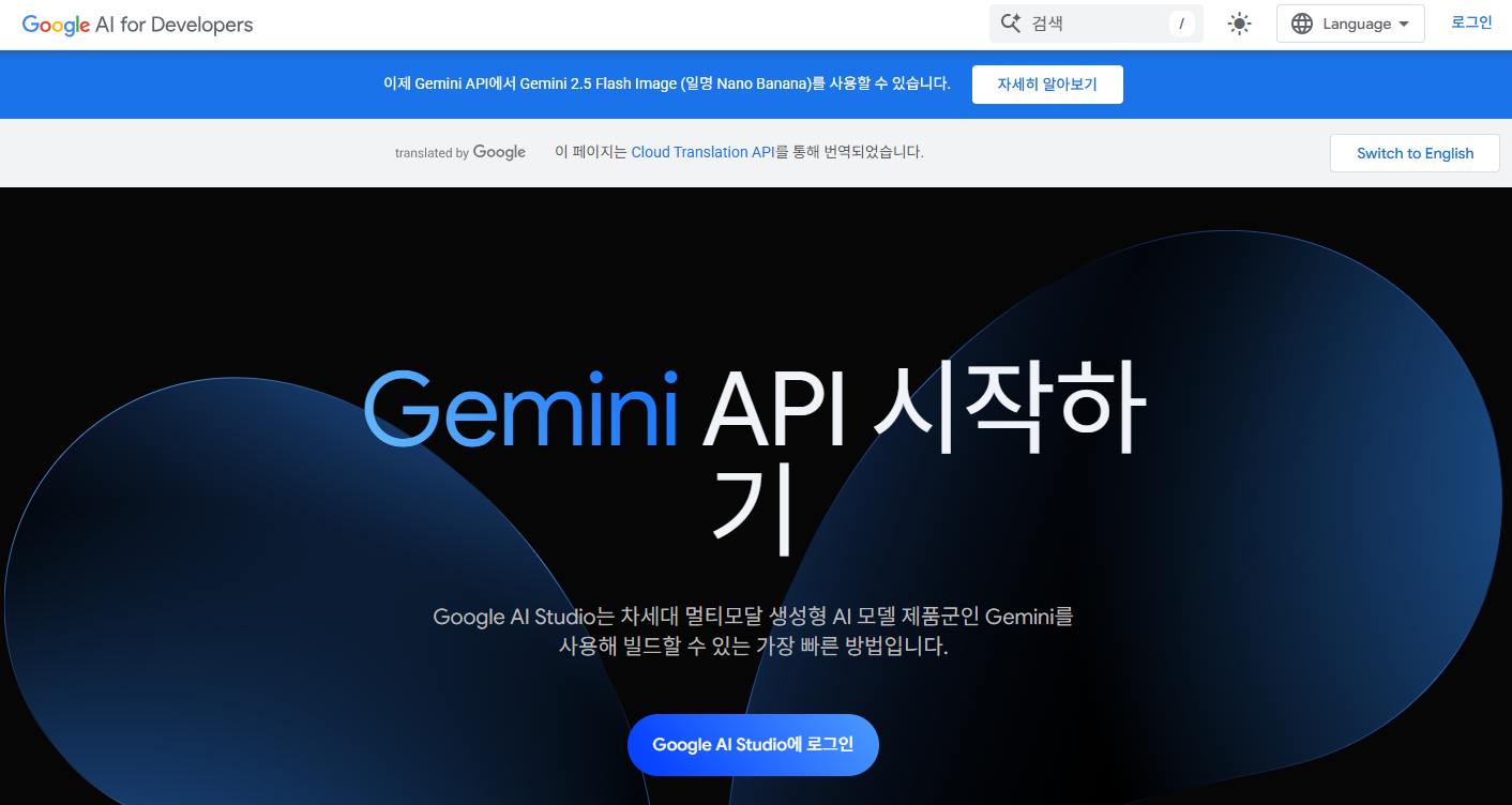 제미나이 시작하기 사진