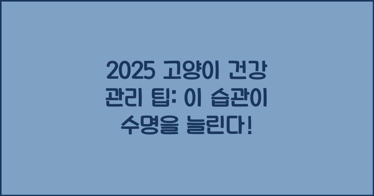 2025 고양이 건강 관리 팁