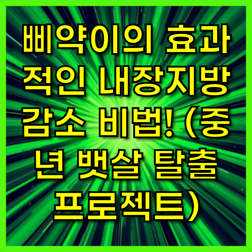 내장지방 감소 비법! (중년 뱃살 탈출 프로젝트)