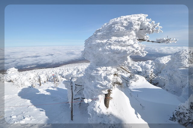새해 맞이 한라산 야간 탐방예약안내 이용요금