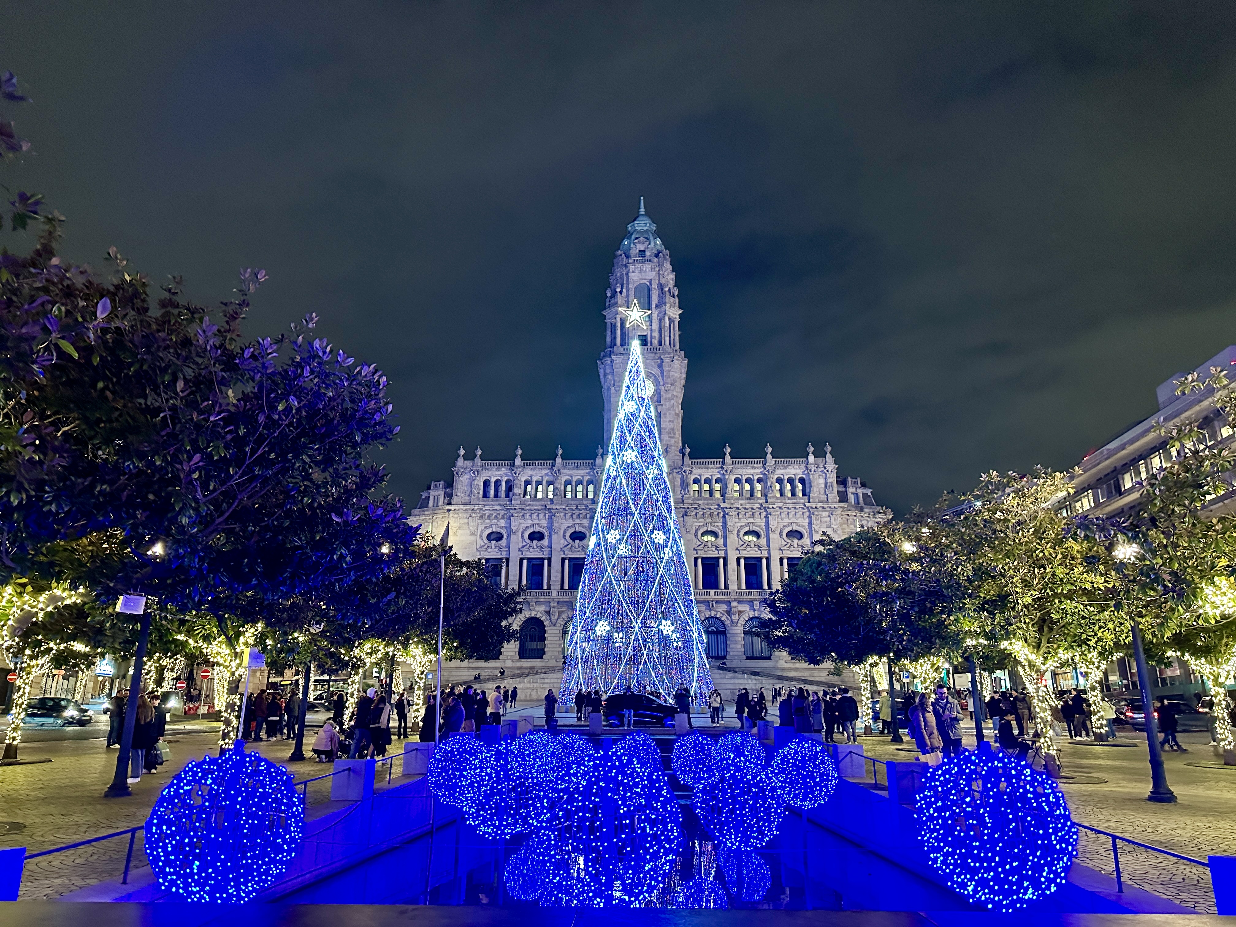 포르투 시청사 앞 트리