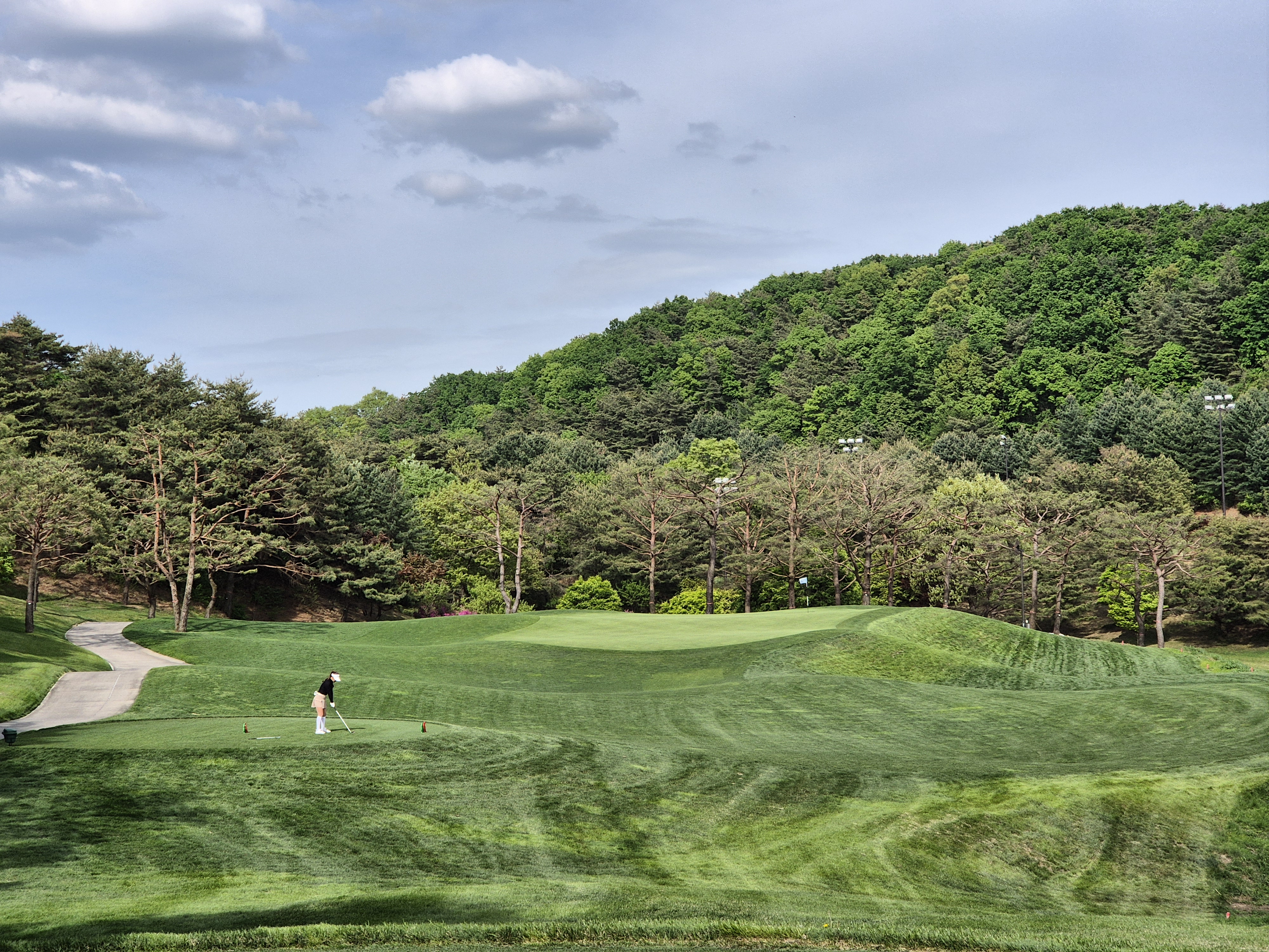 베어크리크cc 크리크코스